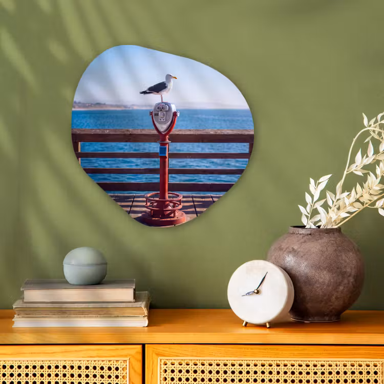 Vogel - Verrekijker - Kust - Zee - Blauw Wandcirkel Organisch Forex 3mm klein -sfeer2