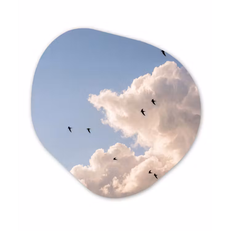 Vogel - Vlucht - Wolken - Natuur - Blauw Wandcirkel Organisch Forex 3mm klein -3d
