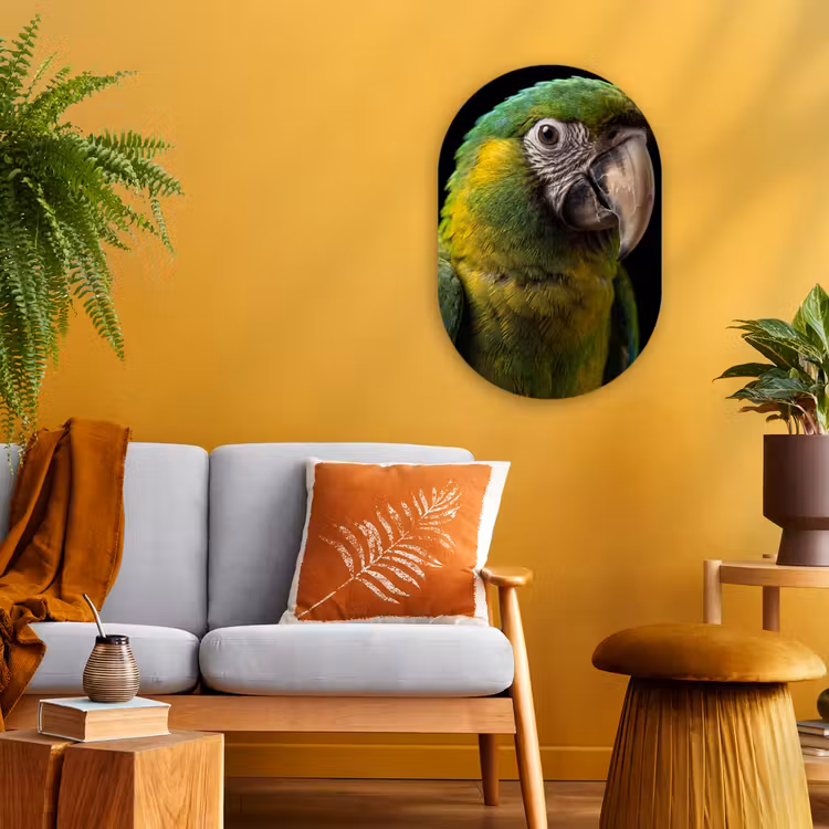 Ara - Portret - Groen Wandcirkel Ovaal Forex klein -sfeer4
