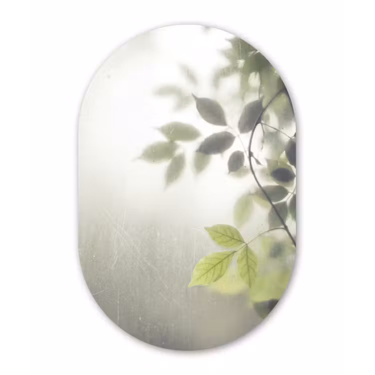 Blad - Schaduw - Natuur - Abstract - Groen Wandcirkel Ovaal Forex klein -3d