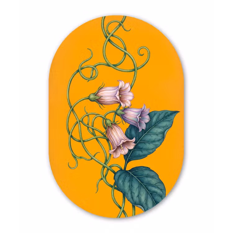 Forexbild Oval - Blumen – Botanik – Gelb - Bloemen - Botanisch - Geel Wandcirkel Ovaal Forex klein