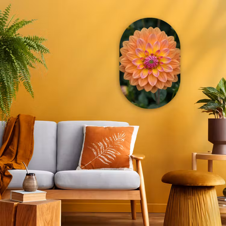 Dahlia - Bloem - Oranje Wandcirkel Ovaal Forex klein -sfeer4
