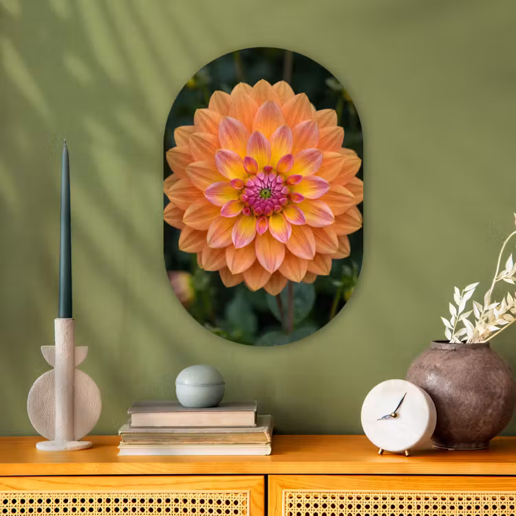 Dahlia - Bloem - Oranje Wandcirkel Ovaal Forex klein -sfeer2