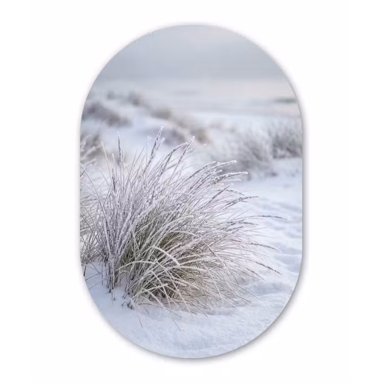 Duinen - Sneeuw - Strand - Winter - Serene Wandcirkel Ovaal Forex klein -3d