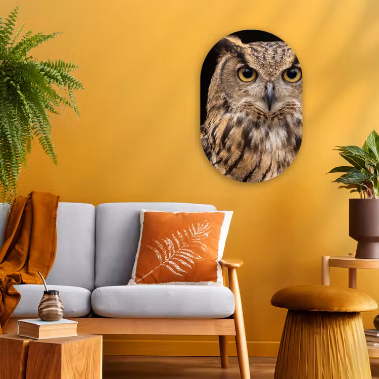 Oehoe - Uil - Portret - Bruin Wandcirkel Ovaal Forex klein -sfeer4
