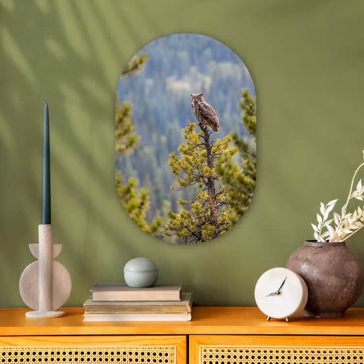 Uil - Oehoe - Bomen - Natuur Wandcirkel Ovaal Forex klein -sfeer2