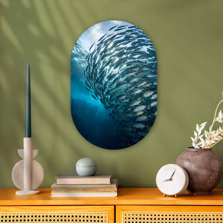 Vis - School - Oceaan - Natuur - Blauw Wandcirkel Ovaal Forex klein -sfeer2