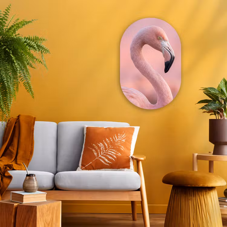 Flamingo - Portret - Roze Wandcirkel Ovaal Forex klein -sfeer4