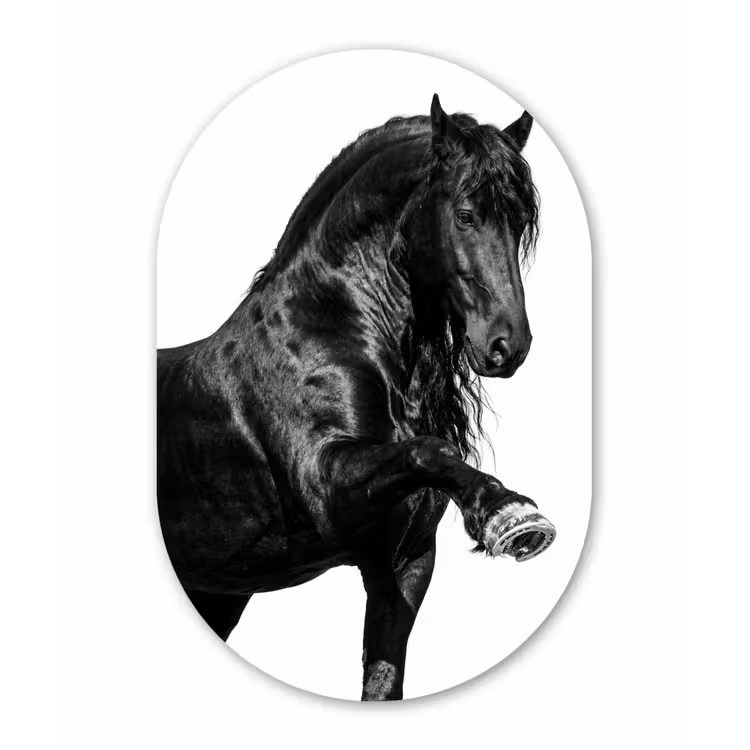 Fries - Hengst - Modern Wandcirkel Ovaal Forex klein -3d