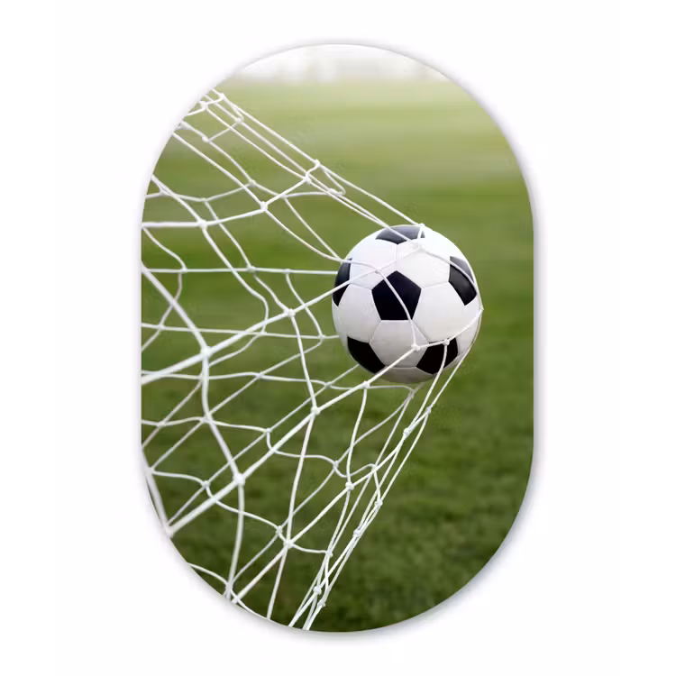Voetbal - Goal - Net - Sport Wandcirkel Ovaal Forex klein -3d