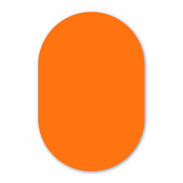Spiced - Pumpkin - Oranje Wandcirkel Ovaal Forex klein 630 -3d