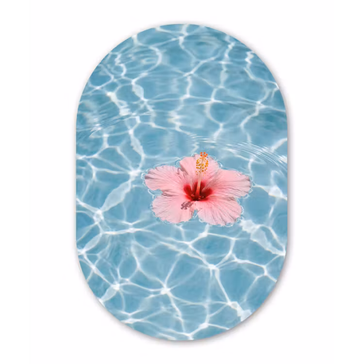 Hibiscus - Water - Roze Wandcirkel Ovaal Forex klein -3d