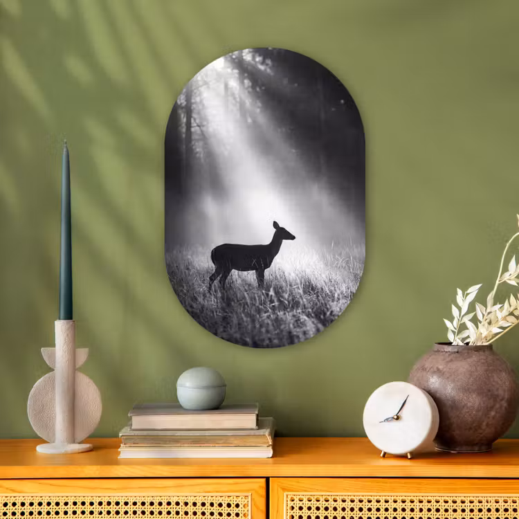 Hert - Bos - Zonnestralen - Zwart-wit - Natuur Wandcirkel Ovaal Forex klein -sfeer2