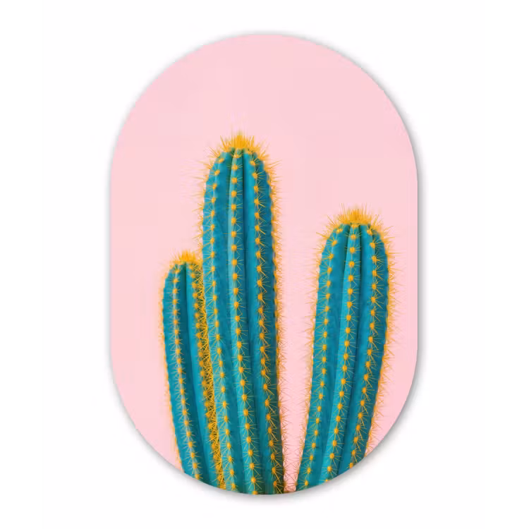 Cactussen - Modern - Pastel Wandcirkel Ovaal Forex klein -3d