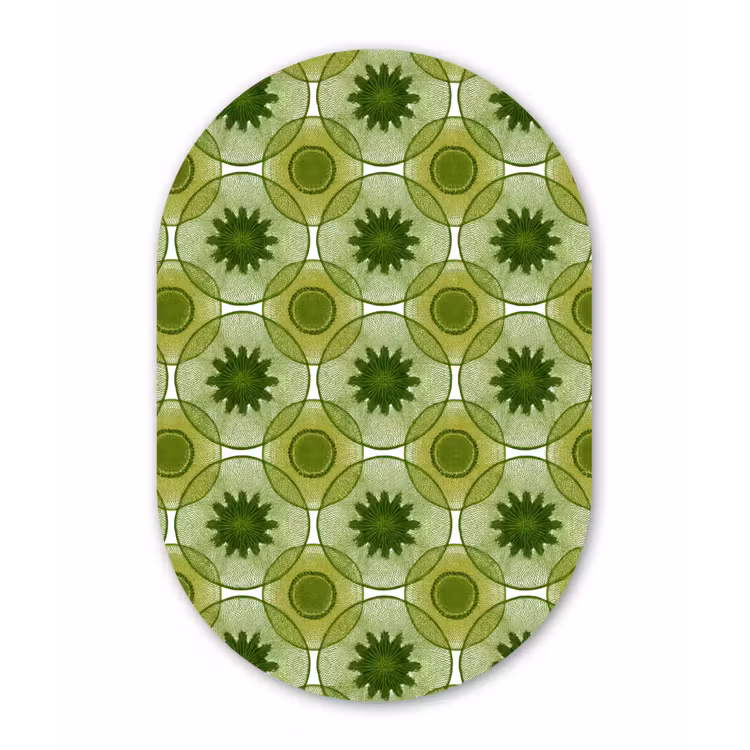 Cirkels - Patroon - Groen Wandcirkel Ovaal Forex klein 630 -3d