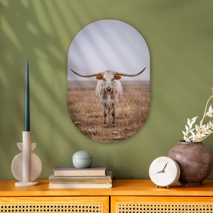 Longhorn - Grasveld - Dier Wandcirkel Ovaal Forex klein -sfeer2