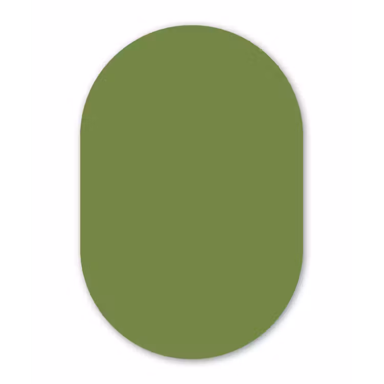 Moss - Green - Groen Wandcirkel Ovaal Forex klein 630 -3d