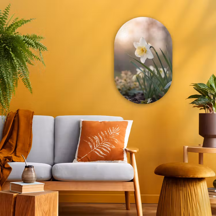 Narcis - Bloem - Minimalistisch Wandcirkel Ovaal Forex klein -sfeer4