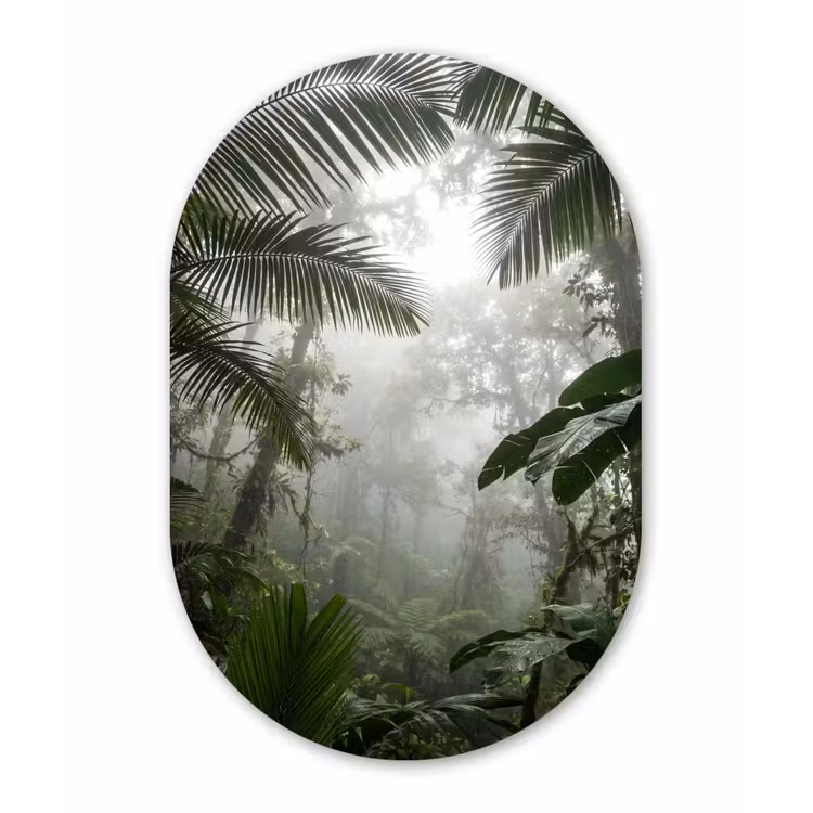 Natuur - Jungle - Mist - Groen - Bladeren Wandcirkel Ovaal Forex klein -3d