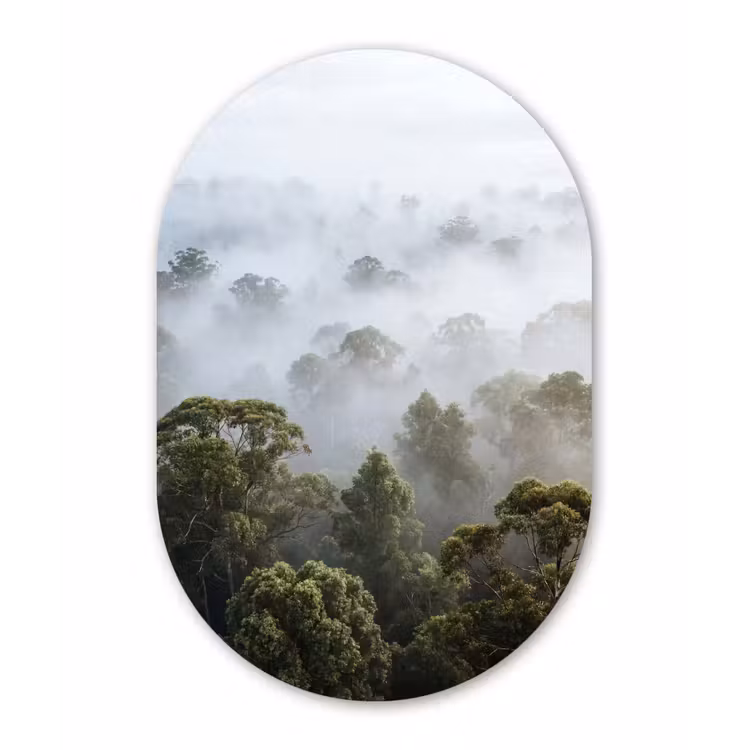 Natuur - Mist - Bos - Ochtend - Goud Wandcirkel Ovaal Forex klein -3d