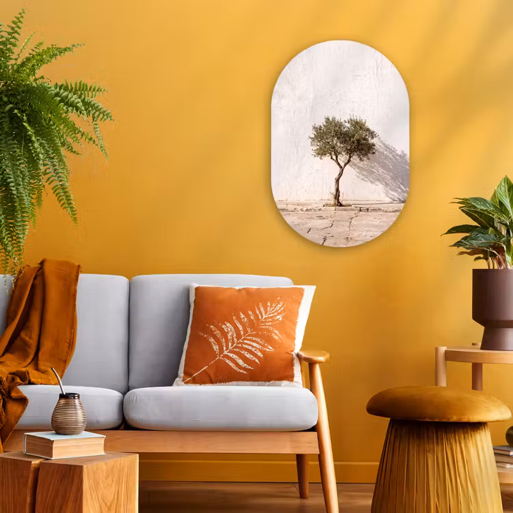 Forexbild Oval - Olivenbaum – Wand – weiß - Olijfboom - muur - wit Wandcirkel Ovaal Forex klein