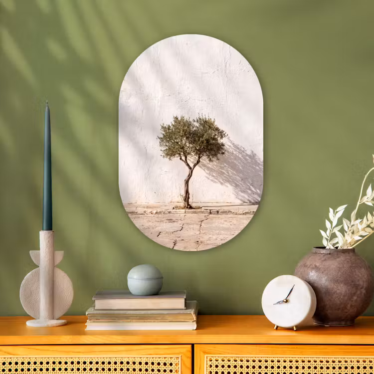 Forexbild Oval - Olivenbaum – Wand – weiß - Olijfboom - muur - wit Wandcirkel Ovaal Forex klein
