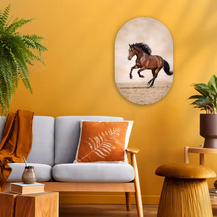 Paard - Galop - Energie Wandcirkel Ovaal Forex klein -sfeer4