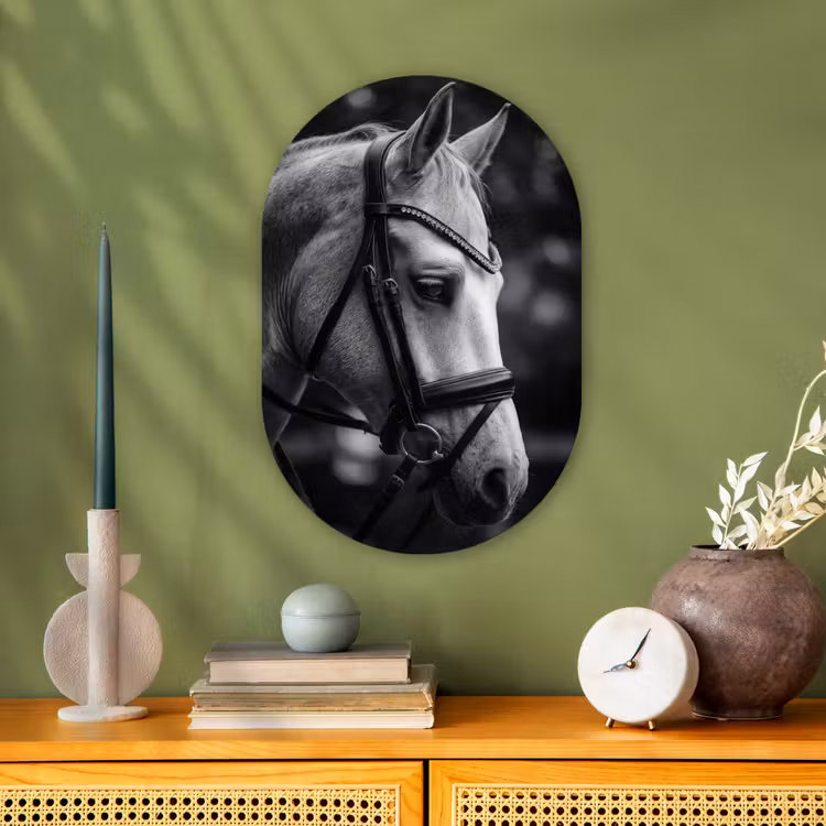 Paard - Schimmel - Portret Wandcirkel Ovaal Forex klein -sfeer2