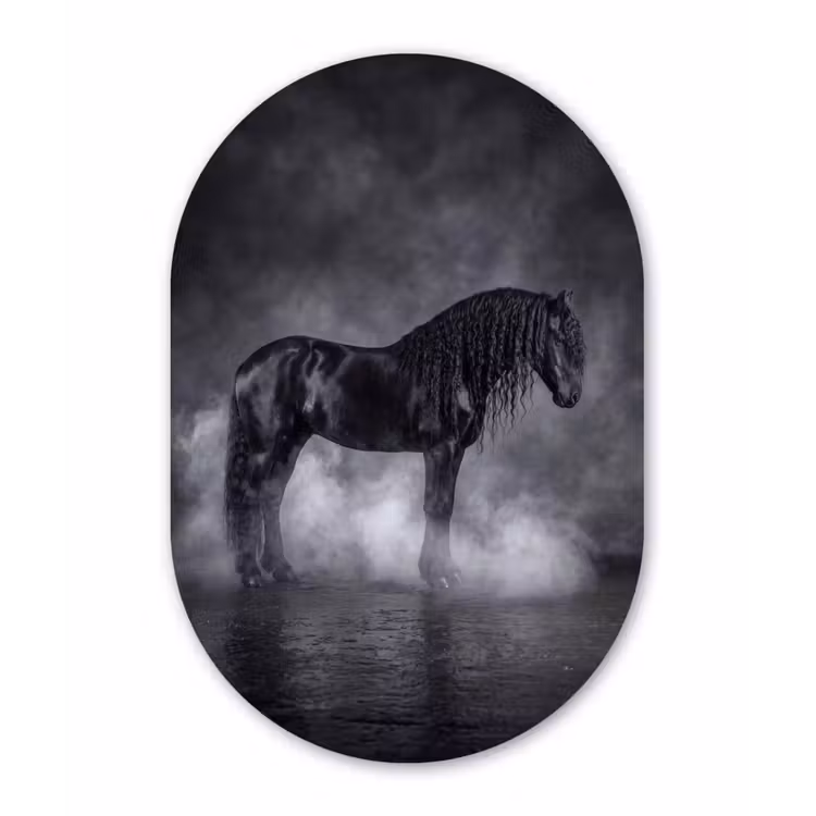 Paard - Magisch - Zwart Wandcirkel Ovaal Forex klein -3d