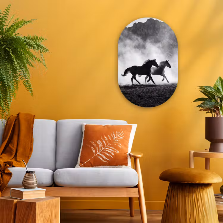 Paard - Ren - Stof - Zwart-wit - Dieren Wandcirkel Ovaal Forex klein -sfeer4