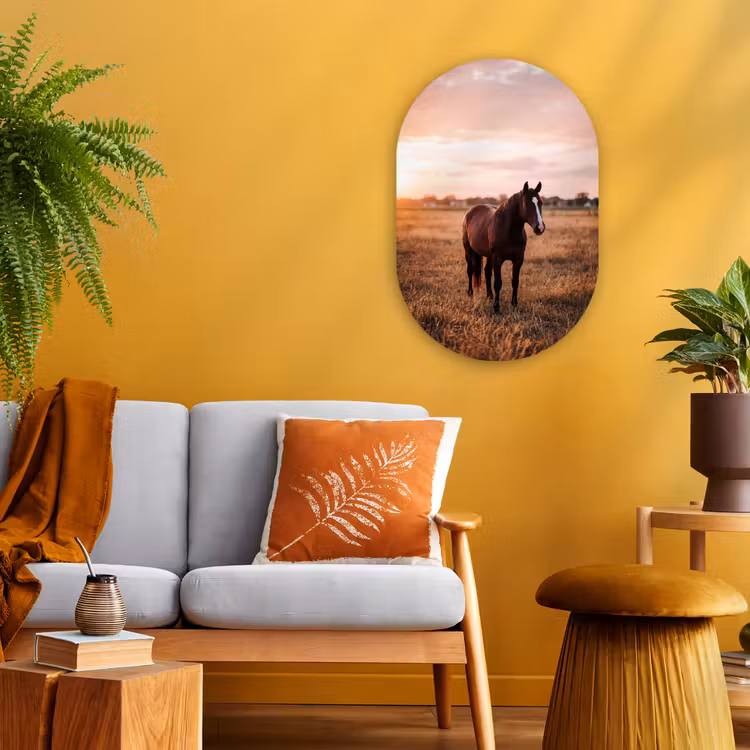 Paard - Zonsondergang - Bruin Wandcirkel Ovaal Forex klein -sfeer4