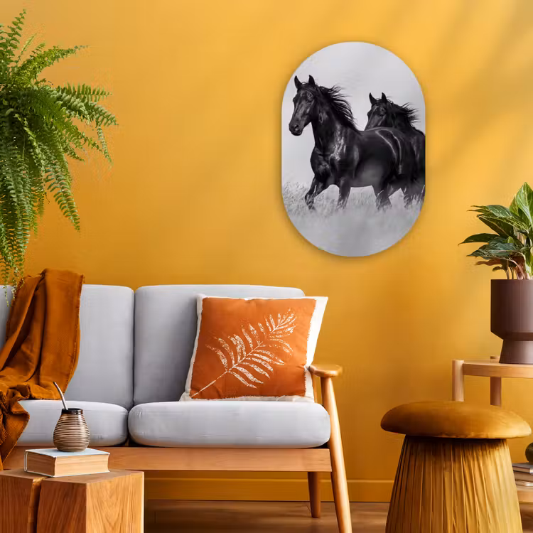 Paarden - Gras - Zwart - Wit Wandcirkel Ovaal Forex klein -sfeer4