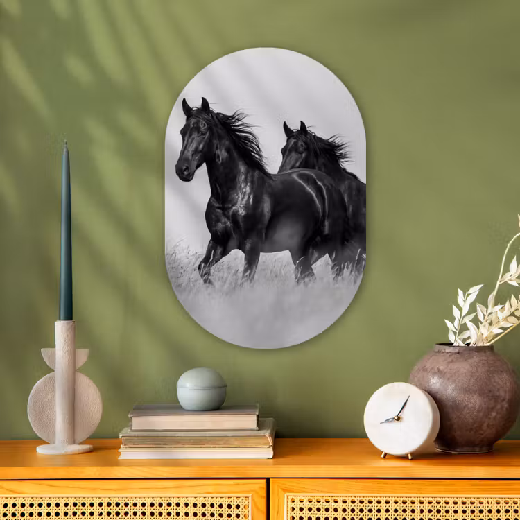 Paarden - Gras - Zwart - Wit Wandcirkel Ovaal Forex klein -sfeer2