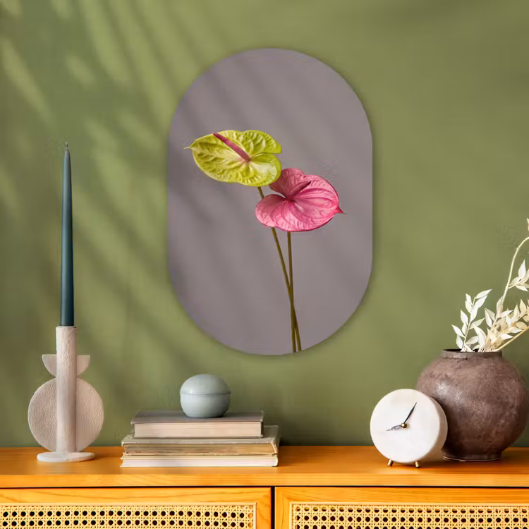 Planten - Anthurium - Groen - Roze Wandcirkel Ovaal Forex klein -sfeer2
