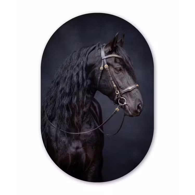 Portret - Paard - Donker Wandcirkel Ovaal Forex klein -3d