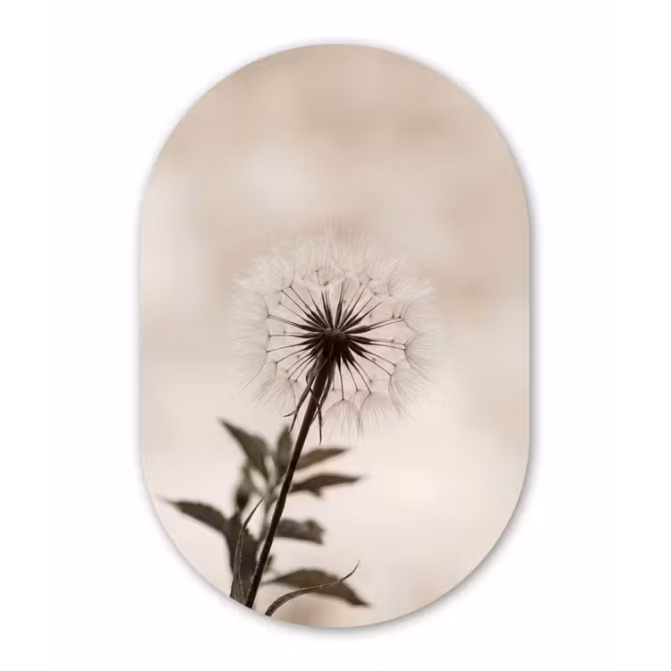 Paardenbloem - Minimalistisch - Wit Wandcirkel Ovaal Forex klein -3d