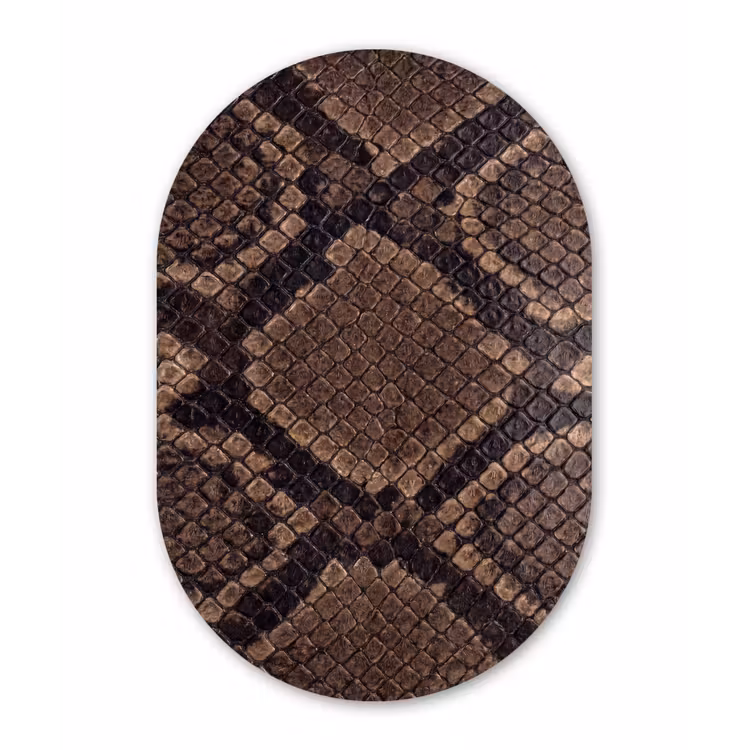 Python - Schubben - Brons Wandcirkel Ovaal Forex klein -3d