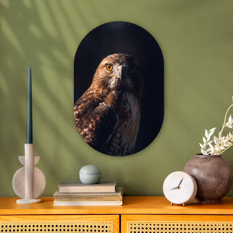 Roofvogel - Buizerd - Bruin Wandcirkel Ovaal Forex klein -sfeer2