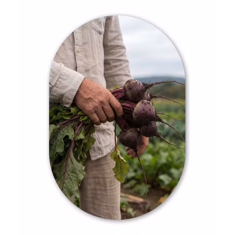 Bieten - Vers - Moestuin Wandcirkel Ovaal Forex klein -3d