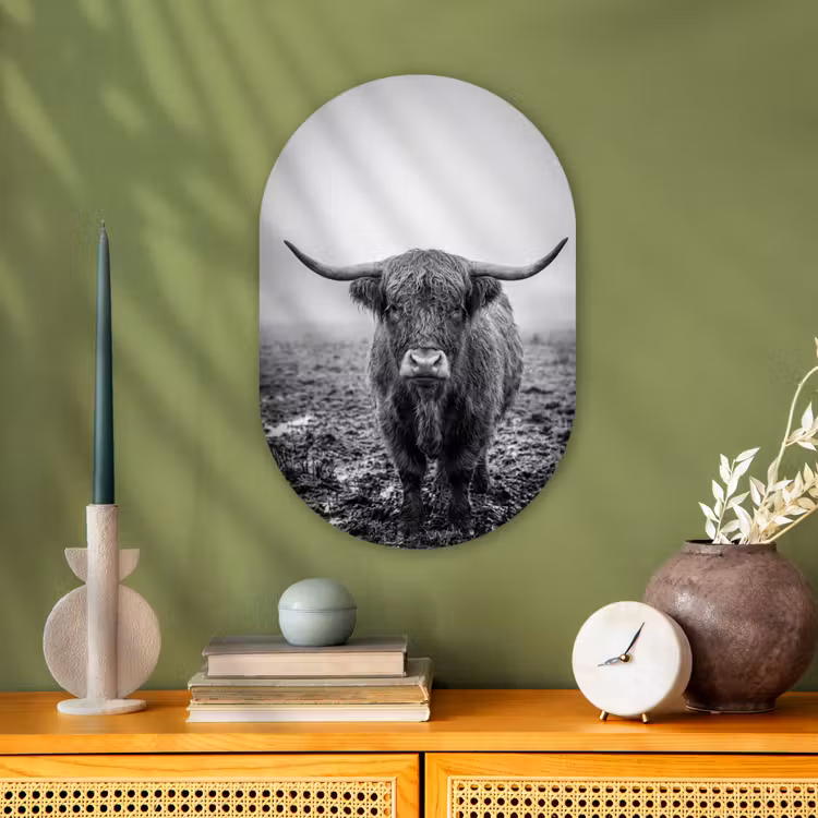 Schotse hooglander - Zwart - Wit - Gras Wandcirkel Ovaal Forex klein -sfeer2