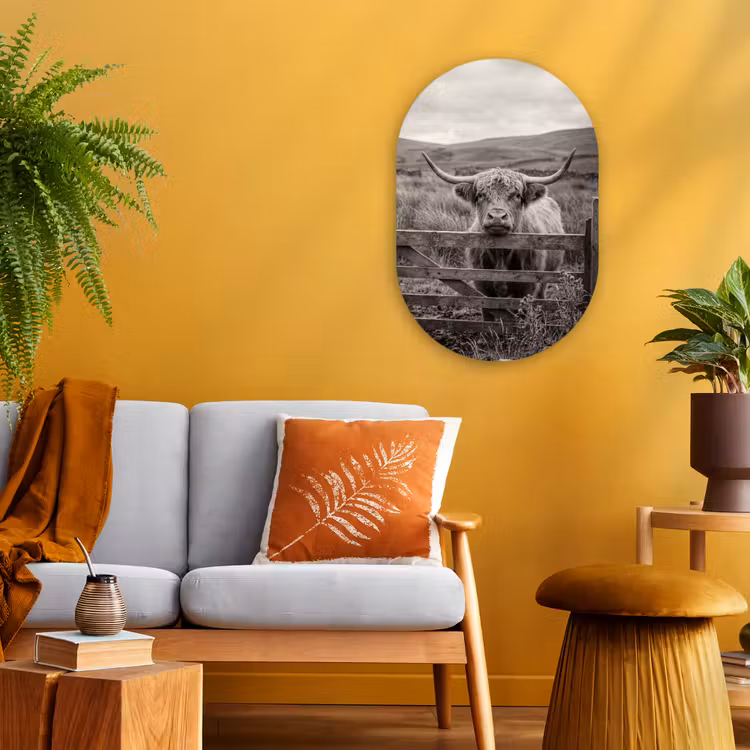 Schotse hooglander - Zwart - Wit - Hout Wandcirkel Ovaal Forex klein -sfeer4