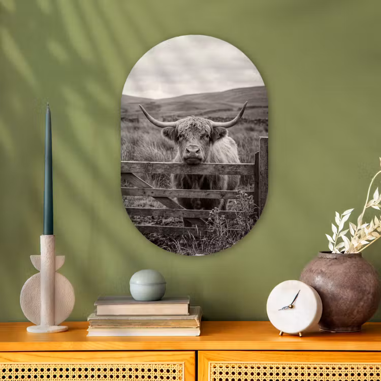 Schotse hooglander - Zwart - Wit - Hout Wandcirkel Ovaal Forex klein -sfeer2