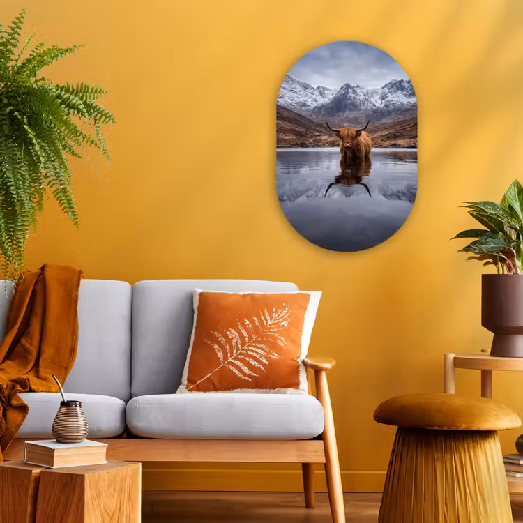 Schotse hooglander - Bruin - Water Wandcirkel Ovaal Forex klein -sfeer4