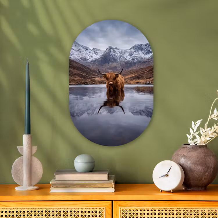 Schotse hooglander - Bruin - Water Wandcirkel Ovaal Forex klein -sfeer2