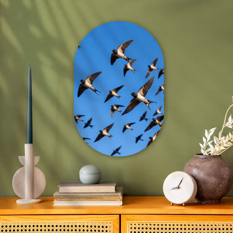 Zwaluwen - Vliegen - Blauw Wandcirkel Ovaal Forex klein -sfeer2