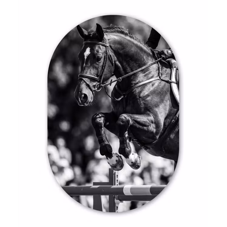 Springen - Paard - Zwart - Wit Wandcirkel Ovaal Forex klein -3d