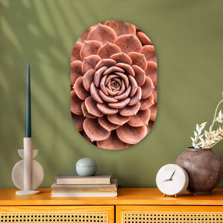 Vetplant - Organisch - Roze Wandcirkel Ovaal Forex klein -sfeer2