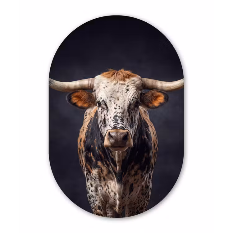 Stier - Kleurrijk - Hoorns Wandcirkel Ovaal Forex klein -3d