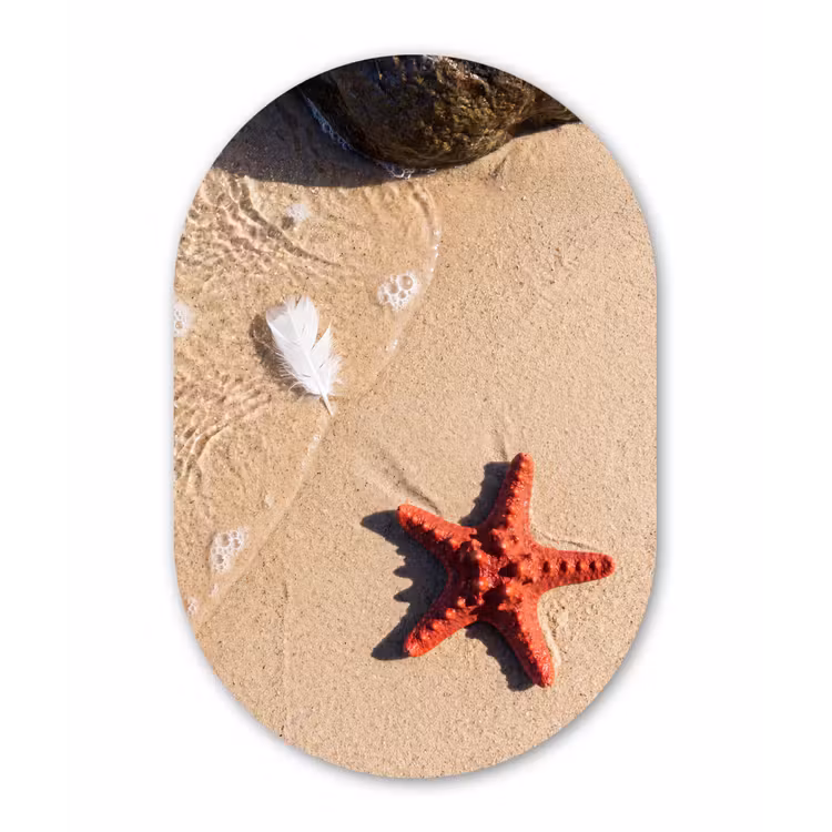 Dieren - Strand - Zee - Natuur - Rood Wandcirkel Ovaal Forex klein -3d