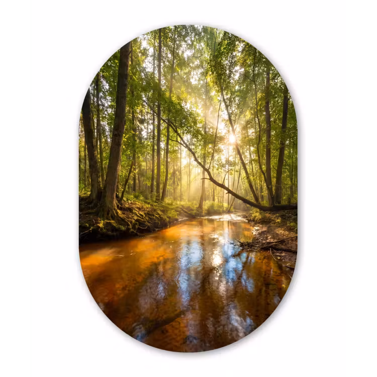 Bos - Beek - Zonlicht - Natuur - Groen Wandcirkel Ovaal Forex klein -3d